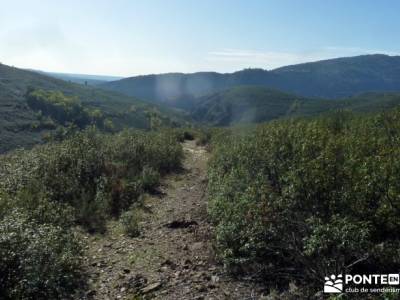 Atazar - Meandros Río Lozoya - Pontón de la Oliva - Senda del Genaro;solana de ávila